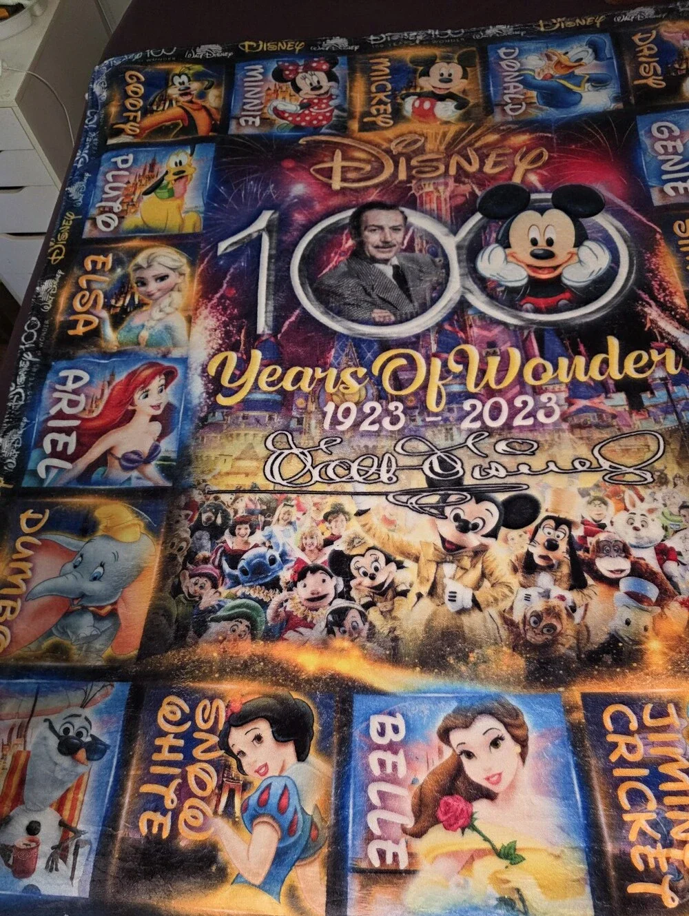 Disney 100 Years of Wonder Multicolor Throw Blanket